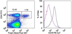 Invitrogen&trade;&nbsp;CD39 Monoclonal Antibody (24DMS1), PE-Cyanine7, eBioscience&trade;, Invitrogen&trade;