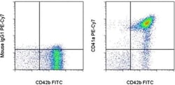 Invitrogen CD41a Monoclonal Antibody (HIP8), PE-Cyanine7, eBioscience 100