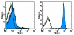 CD45.1 Monoclonal Antibody (A20), PE-Cyanine7, eBioscience , Invitrogen:Antibodies:Primary