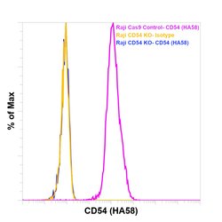 CD54 (ICAM-1) Monoclonal Antibody (HA58), PE-Cyanine7, eBioscience , Invitrogen:Antibodies:Primary