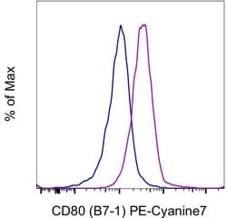 CD80 (B7-1) Monoclonal Antibody (2D10.4), PE-Cyanine7, eBioscience , Invitrogen:Antibodies:Primary