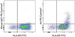 Invitrogen Axl Monoclonal Antibody (DS7HAXL), PE-Cyanine7, eBioscience