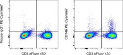CD146 Monoclonal Antibody (P1H12), PE-Cyanine7, eBioscience , Invitrogen:Antibodies:Primary