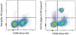Invitrogen CD170 (Siglec F) Monoclonal Antibody (1RNM44N), PE-Cyanine7,