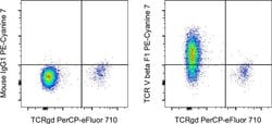 Invitrogen TCR V beta F1 Monoclonal Antibody (8A3), PE-Cyanine7, eBioscience
