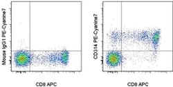 Invitrogen CD314 (NKG2D) Monoclonal Antibody (1D11), PE-Cyanine7, eBioscience