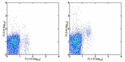 CD314 (NKG2D) Monoclonal Antibody (CX5), PE-Cyanine7, eBioscience , Invitrogen:Antibodies:Primary