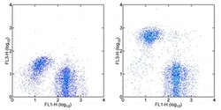 TER-119 Monoclonal Antibody (TER-119), PE-Cyanine7, eBioscience , Invitrogen:Antibodies:Primary