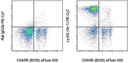 Ly-6G/Ly-6C Monoclonal Antibody (RB6-8C5), PE-Cyanine7, eBioscience , Invitrogen:Antibodies:Primary