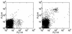 NK1.1 Monoclonal Antibody (PK136), PE-Cyanine7, eBioscience , Invitrogen:Antibodies:Primary