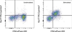 Invitrogen Nur77 Monoclonal Antibody (12.14), PE-Cyanine7, eBioscience