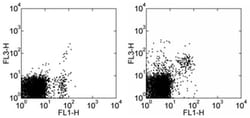 CD49b (Integrin alpha 2) Monoclonal Antibody (DX5), PE-Cyanine7, eBioscience