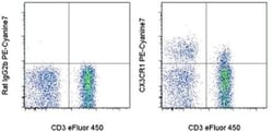 Invitrogen CX3CR1 Monoclonal Antibody (2A9-1), PE-Cyanine7, eBioscience
