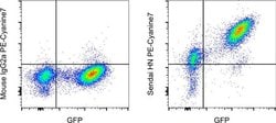 Sendai virus HN Monoclonal Antibody (1A6), PE-Cyanine7, eBioscience , Invitrogen:Antibodies:Primary