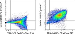 Sendai virus HN Monoclonal Antibody (1A6), PE-Cyanine7, eBioscience , Invitrogen:Antibodies:Primary