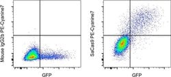 Invitrogen Staphylococcus aureus Cas9 Monoclonal Antibody (6H4), PE-Cyanine7,