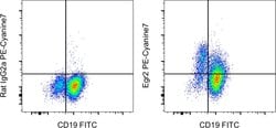 Invitrogen EGR2 Monoclonal Antibody (erongr2), PE-Cyanine7, eBioscience