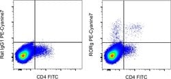 Invitrogen ROR gamma (t) Monoclonal Antibody (B2D), PE-Cyanine7, eBioscience