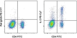 IL-2 Monoclonal Antibody (JES6-5H4), PE-Cyanine7, eBioscience , Invitrogen:Antibodies:Primary