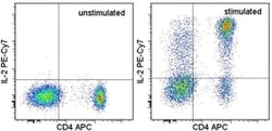 IL-2 Monoclonal Antibody (MQ1-17H12), PE-Cyanine7, eBioscience , Invitrogen:Antibodies:Primary