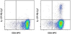 Invitrogen IL-17F Monoclonal Antibody (SHLR17), PE-Cyanine7, eBioscience