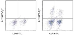 IL-17A Monoclonal Antibody (eBio17B7), PE-Cyanine7, eBioscience , Invitrogen:Antibodies:Primary