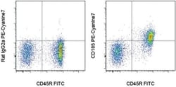 CD185 (CXCR5) Monoclonal Antibody (SPRCL5), PE-Cyanine7, eBioscience ,