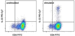 IL-22 Monoclonal Antibody (22URTI), PE-Cyanine7, eBioscience&trade;, Invitrogen&trade;