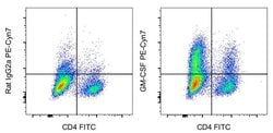 Invitrogen GM-CSF Monoclonal Antibody (MP1-22E9), PE-Cyanine7, eBioscience
