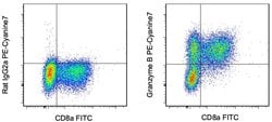 Granzyme B Monoclonal Antibody (NGZB), PE-Cyanine7, eBioscience , Invitrogen:Antibodies,