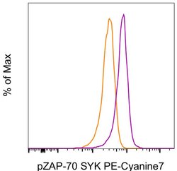 Invitrogen Phospho-ZAP70/Syk (Tyr319, Tyr352) Monoclonal Antibody (n3kobu5),