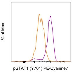 Invitrogen Phospho-STAT1 (Tyr701) Monoclonal Antibody (KIKSI0803), PE-Cyanine7,