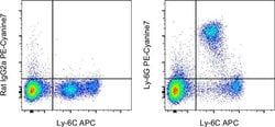 Ly-6G Monoclonal Antibody (1A8-Ly6g), PE-Cyanine7, eBioscience , Invitrogen:Antibodies:Primary