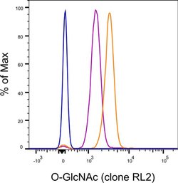 O-GlcNAc Monoclonal Antibody (RL2), Alexa Fluor 488, eBioscience , Invitrogen:Antibodies:Primary