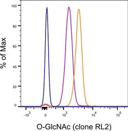 O-GlcNAc Monoclonal Antibody (RL2), Alexa Fluor 647, eBioscience , Invitrogen:Antibodies:Primary