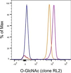 O-GlcNAc Monoclonal Antibody (RL2), Alexa Fluor 488, eBioscience , Invitrogen:Antibodies:Primary