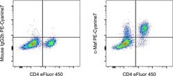 Invitrogen c-MAF Monoclonal Antibody (sym0F1), PE-Cyanine7, eBioscience:Antibodies:Primary