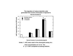 Gibco Mouse CCL21 (6Ckine) Recombinant Protein, PeproTech 100 &mu;g | Buy Online | Gibco&trade; | Fisher Scientific