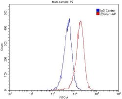 MCP1 Rabbit anti-Human, Polyclonal, Proteintech 150 &mu;L; Unconjugated:Antibodies,