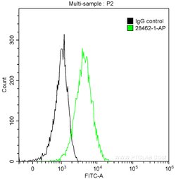Involucrin Rabbit anti-Human, Polyclonal, ProteinTech 150 &mu;L; Unconjugated:Antibodies,