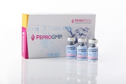 Gibco PeproGMP Human FGF-basic (FGF-2/bFGF) Recombinant Protein, PeproTech 100 &mu;g | Buy Online | Gibco&trade; | Fisher Scientific