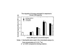 Gibco Human GRO-gamma (CXCL3) Recombinant Protein, PeproTech 500 &mu;g | Buy Online | Gibco&trade; | Fisher Scientific