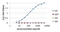 Invitrogen Goat anti-Human IgG (H+L) Cross-Adsorbed Secondary Antibody
