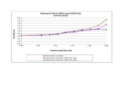 Gibco Mouse GDF-5 Recombinant Protein, PeproTech 1 mg | Buy Online | Gibco&trade; | Fisher Scientific