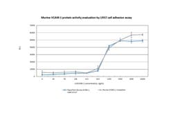 Gibco Mouse VCAM-1 Recombinant Protein, PeproTech 10 &mu;g | Buy Online | Gibco&trade; | Fisher Scientific