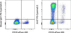 Ki-67 Monoclonal Antibody (20Raj1), PE-Cyanine5.5, eBioscience , Invitrogen:Antibodies:Primary