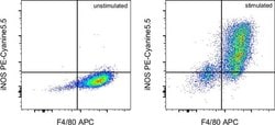 Invitrogen iNOS Monoclonal Antibody (CXNFT), PE-Cyanine5.5, eBioscience