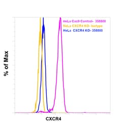 Invitrogen CXCR4 Monoclonal Antibody (12G5) 100 &mu;g; Unconjugated:Antibodies,