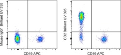 Invitrogen&trade;&nbsp;CD2 Monoclonal Antibody (RPA-2.10), Brilliant Ultra Violet&trade; 395, eBioscience&trade;