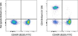 CD4 Monoclonal Antibody (GK1.5), Brilliant Ultra Violet 395, eBioscience